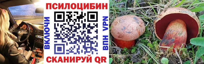 купить наркоту Уржум Псилоцибиновые грибы Psilocybine cubensis